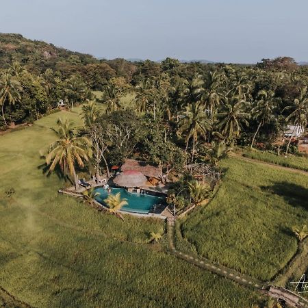 Nelu Resort Sigiriya Eksteriør billede
