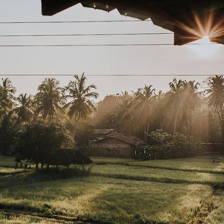 Nelu Resort Sigiriya Eksteriør billede