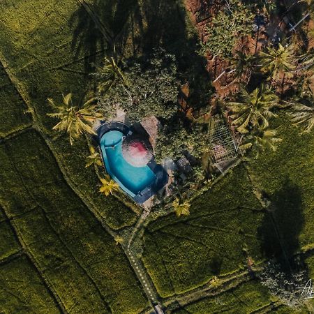 Nelu Resort Sigiriya Eksteriør billede