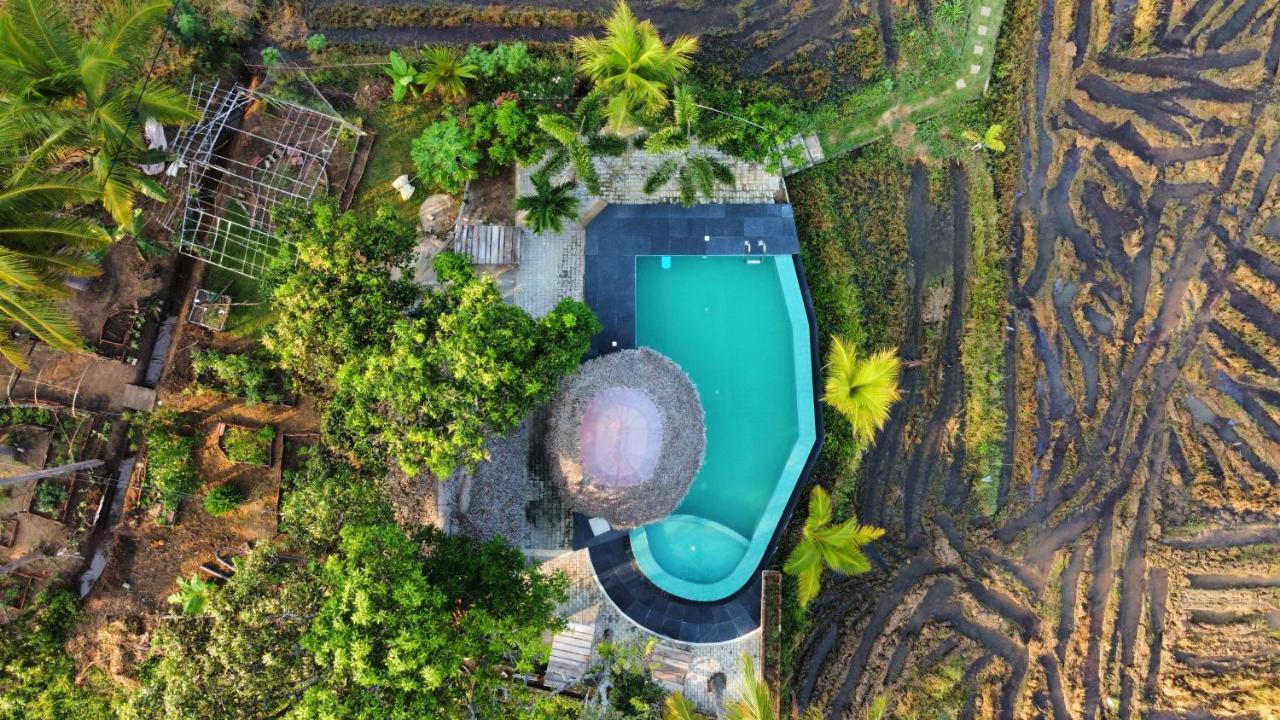 Nelu Resort Sigiriya Eksteriør billede
