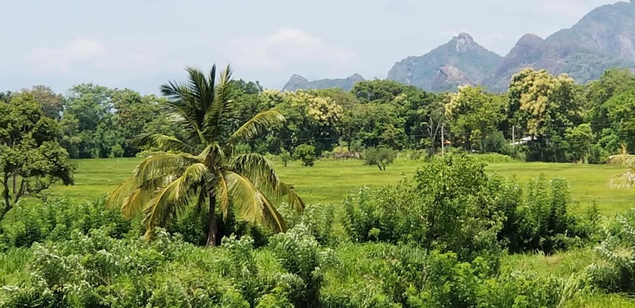 Nelu Resort Sigiriya Eksteriør billede