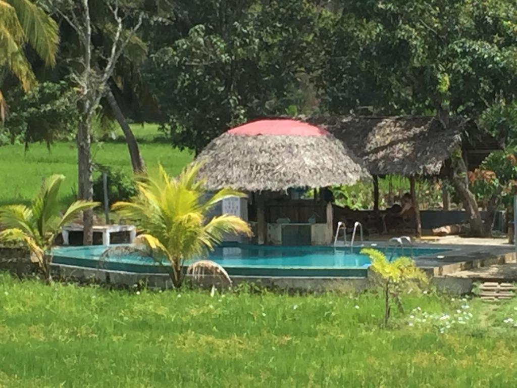 Nelu Resort Sigiriya Eksteriør billede
