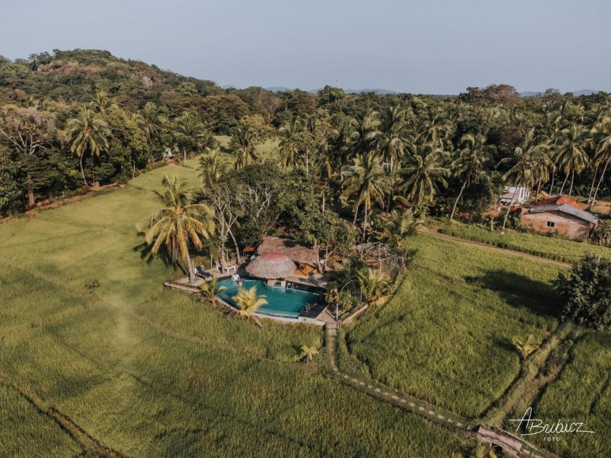 Nelu Resort Sigiriya Eksteriør billede