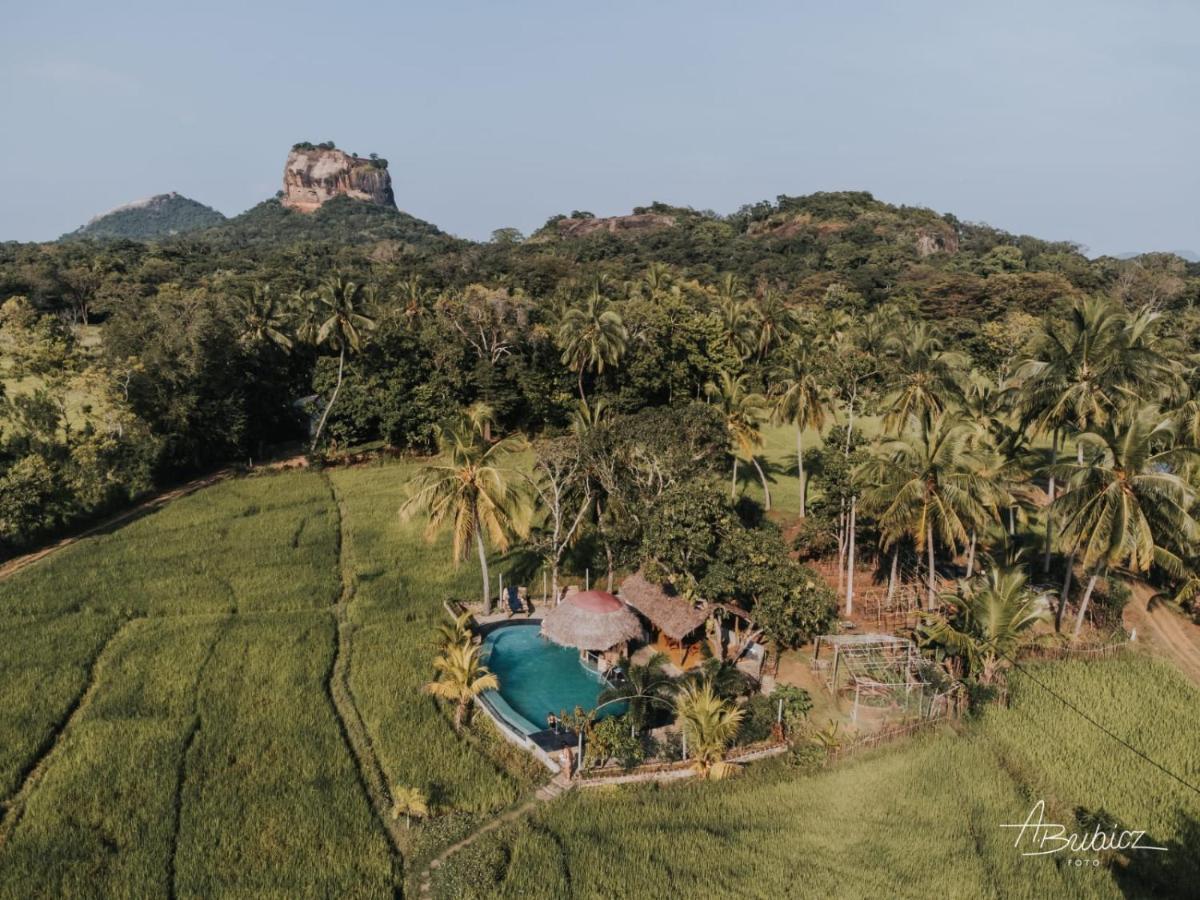 Nelu Resort Sigiriya Eksteriør billede